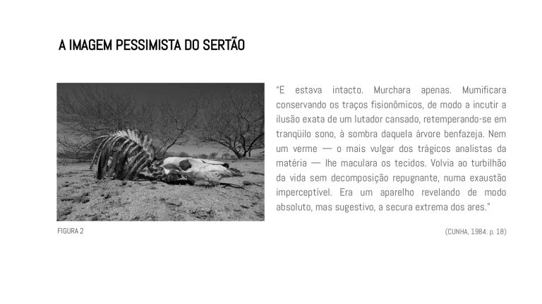 Os Sertões_A terra_A pesquisa em linguagem da arquitetura_E1_page-0003
