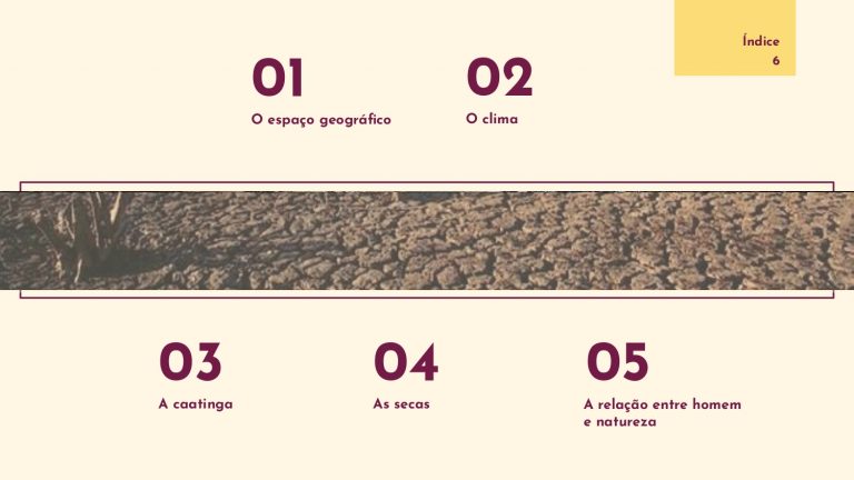Os Sertôes_A terra_A pesquisa em linguagem da arquitetura_E2_page-0006