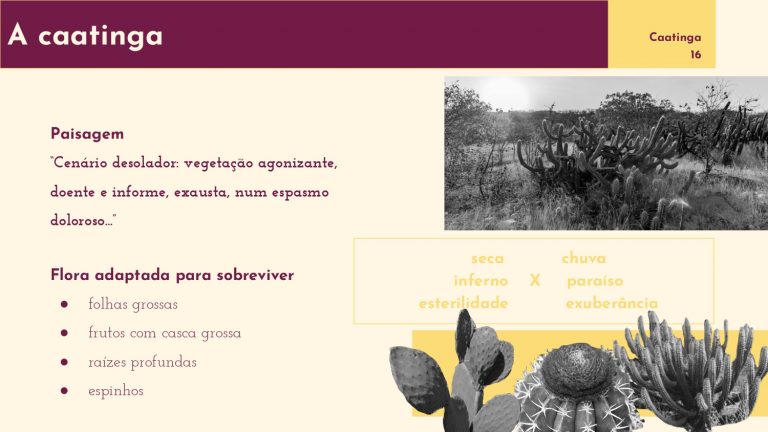 Os Sertôes_A terra_A pesquisa em linguagem da arquitetura_E2_page-0016