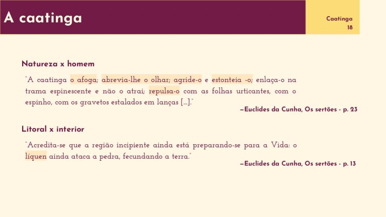 Os Sertôes_A terra_A pesquisa em linguagem da arquitetura_E2_page-0018