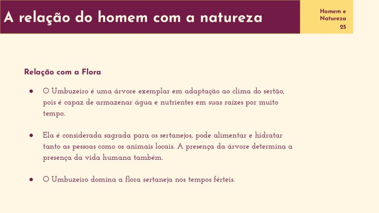 Os Sertôes_A terra_A pesquisa em linguagem da arquitetura_E2_page-0025