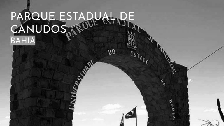 Os Sertões_A terra_A pesquisa no campo da conservação patrimonial_E3_page-0018