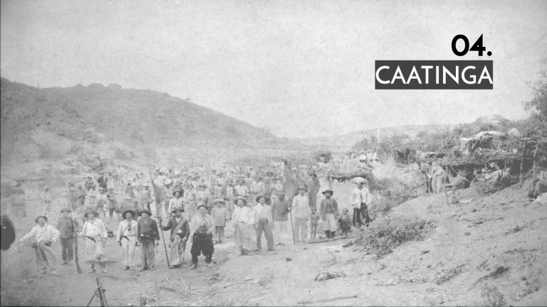 Os Sertões_A terra_A pesquisa no campo da conservação patrimonial_E3_page-0019