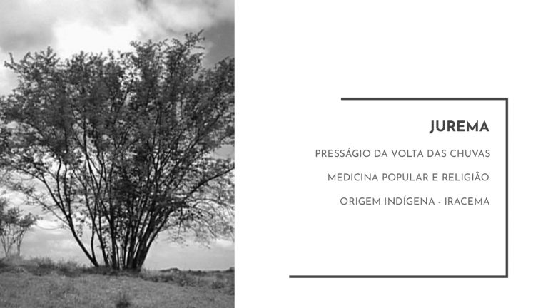 Os Sertões_A terra_A pesquisa no campo da conservação patrimonial_E3_page-0022