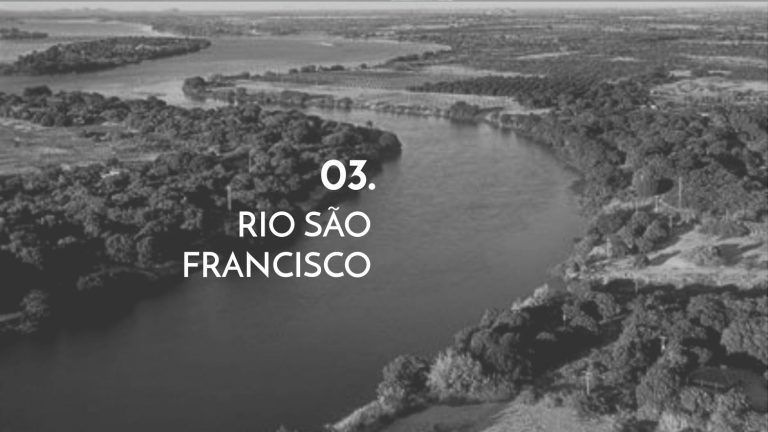 Os Sertões_A terra_A pesquisa no campo da conservação patrimonial_E3_page-0029