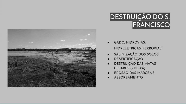 Os Sertões_A terra_A pesquisa no campo da conservação patrimonial_E3_page-0032