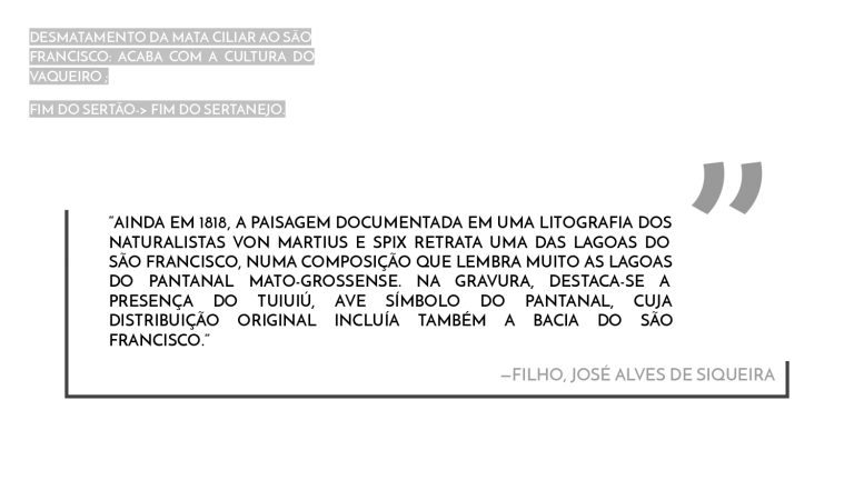 Os Sertões_A terra_A pesquisa no campo da conservação patrimonial_E3_page-0033