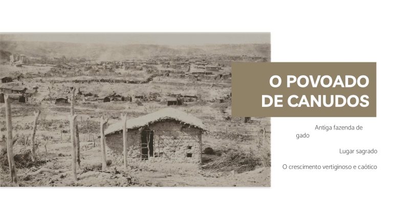 Os Sertões_O homem_A pesquisa em habitação social_E4_page-0009