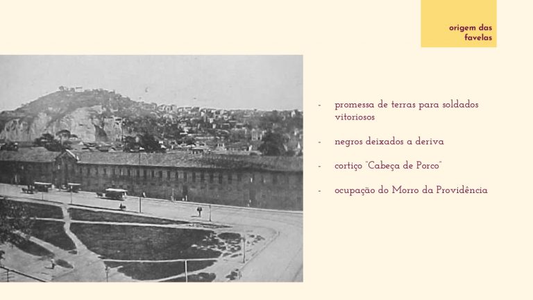 Os Sertões_O homem_A pesquisa em habitação social_E5_page-0020