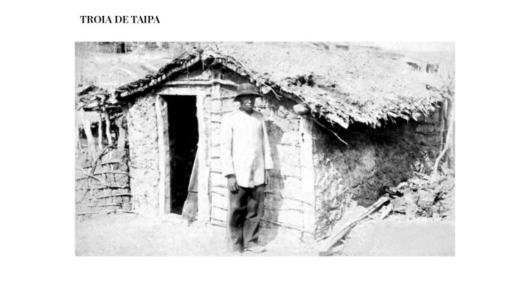 Os Sertões_O homem_A pesquisa em tecnologia e arquitetura_E6 (1)_page-0023