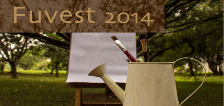 fuvest-2014 web