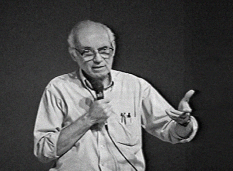 Lele homenagem web