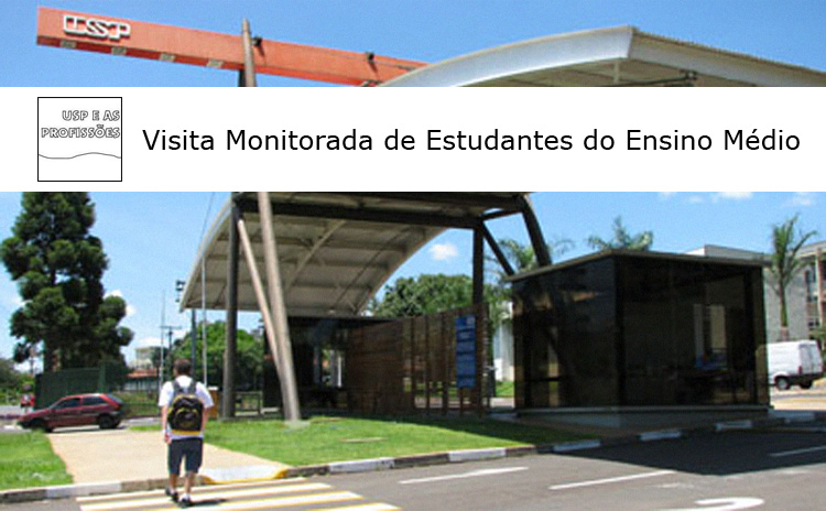 visita-monitorada usp saocarlos web