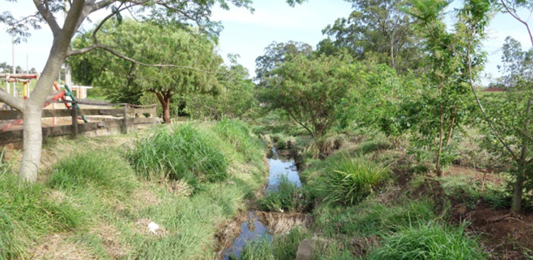corrego-tijuco-preto web