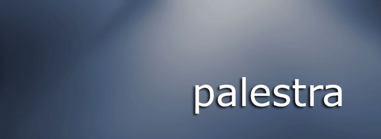palestra site-iau