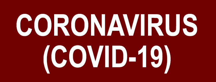 coronavirus web